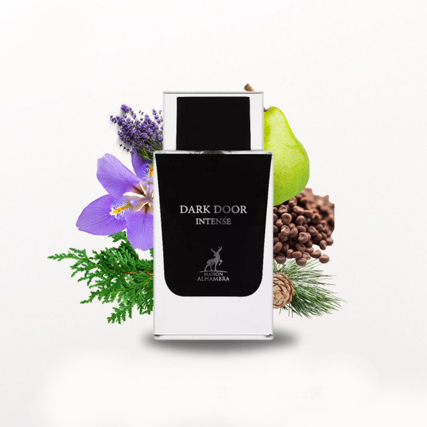 Maison Alhambra Dark Door Intense – parfémovaná voda unisex – 100 ml