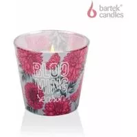 Bartek svíčky royal pink & powder pink 115g